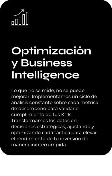 Servicios Optimización y business intelligence