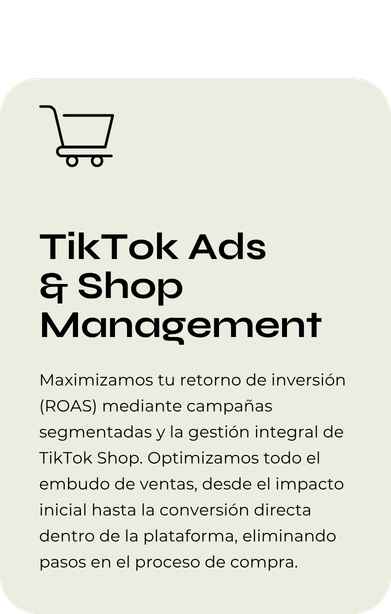 Servicios Tiktok ads & shop management