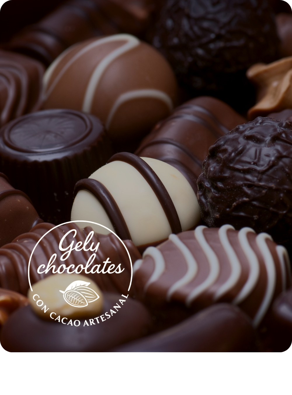 Gely Chocolates