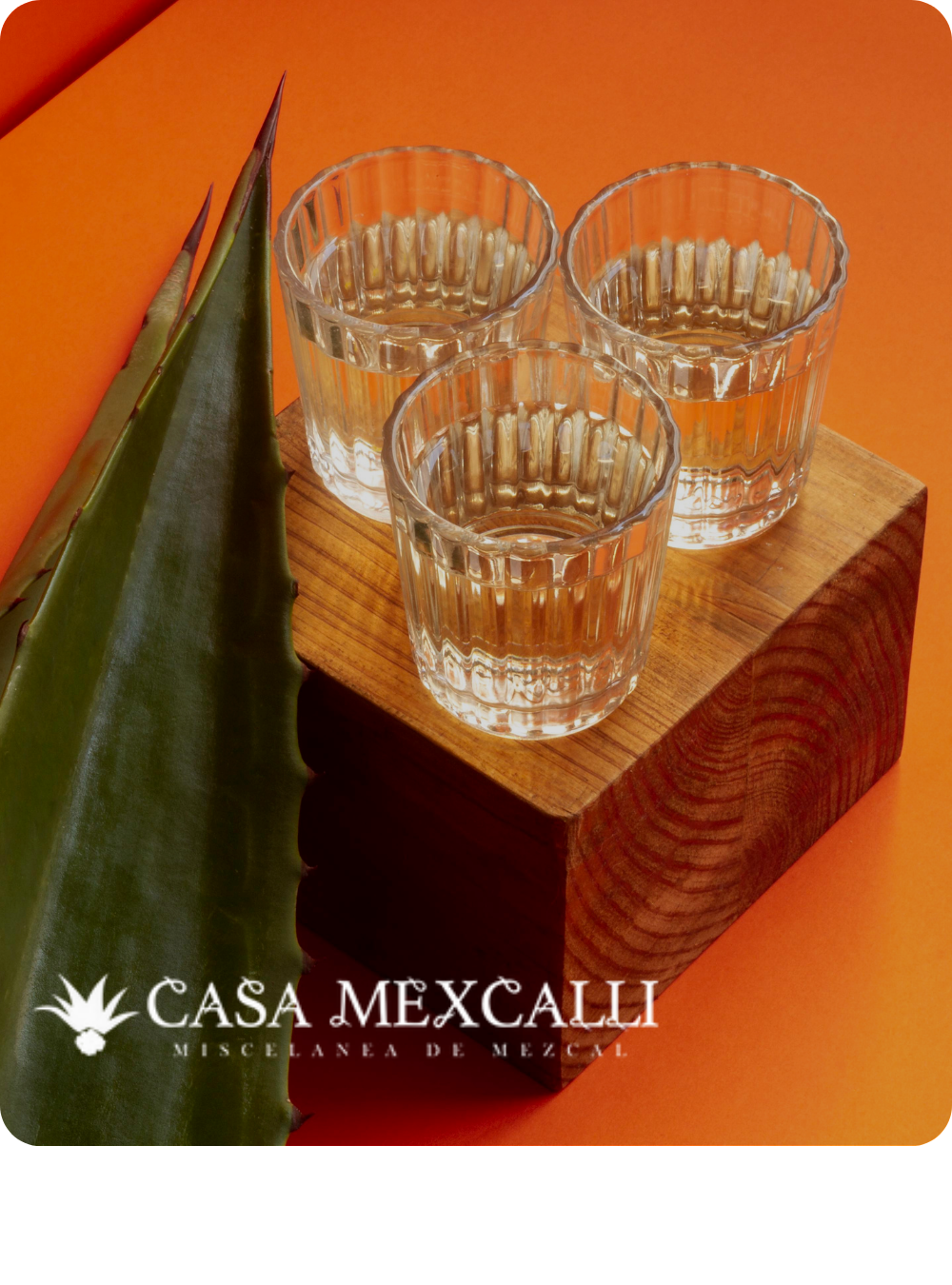 Casa Mexcalli